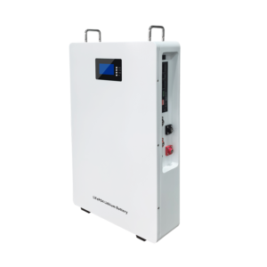 Wall-Mounted 51.2V 100Ah LiFePO4 Lithium Battery | 5.12kWh Home Energy Storage System for Solar Inverter